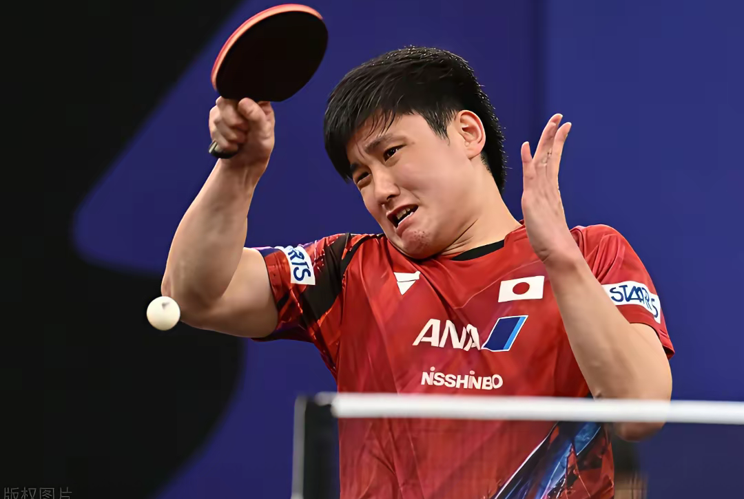 开云体育APP下载-日本队翻盘波兰队，张本智和状态火热