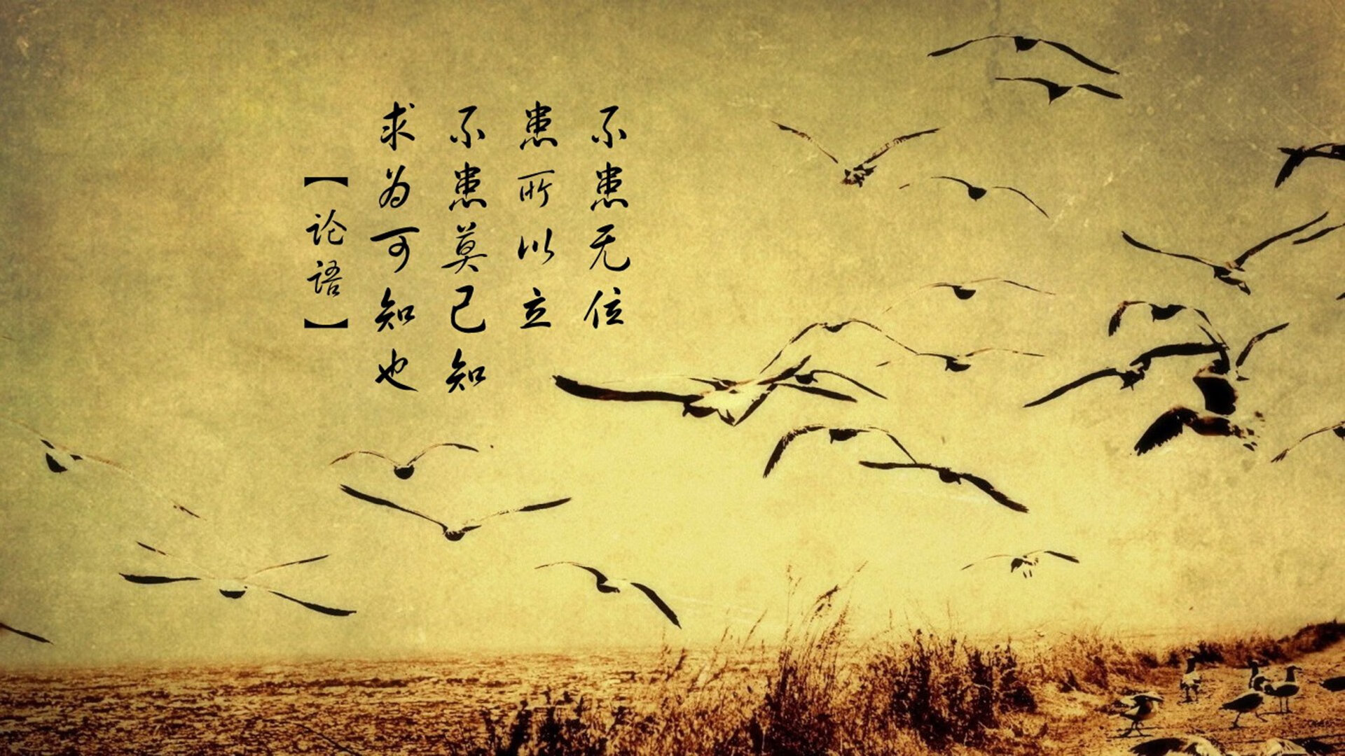 冷面刺客与炽热时刻，西决生死战之夜，哈利伯顿制胜密码解密