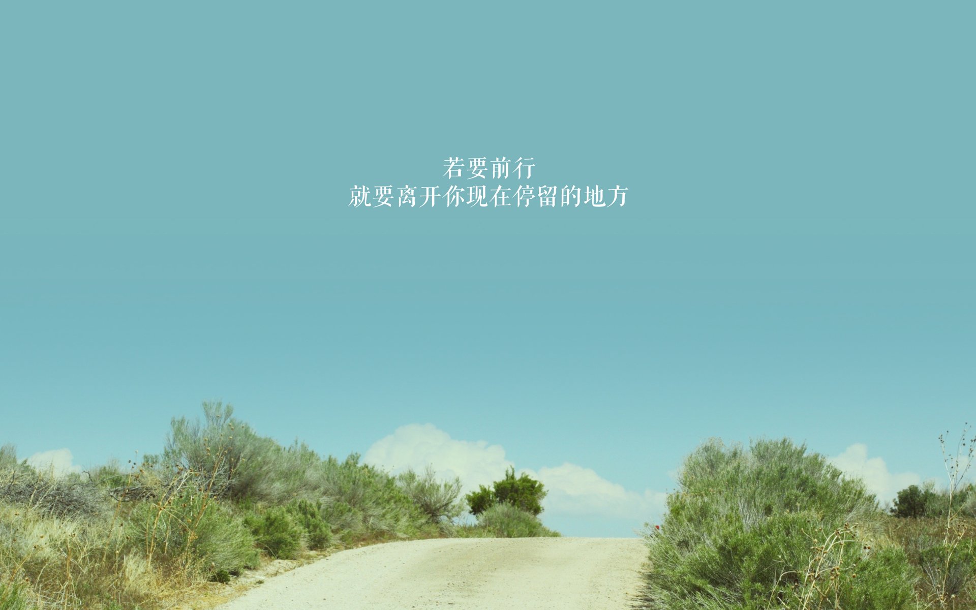 命运双星,萨卡的天赋与芬兰的韧性,同夜绽放的足球双生花