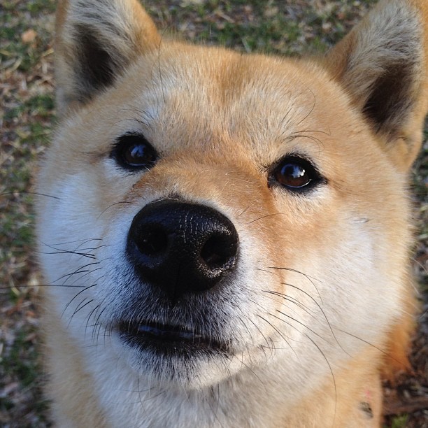 开云体育入口-英格拉姆末节接管比赛，浙江队创造历史击败独行侠