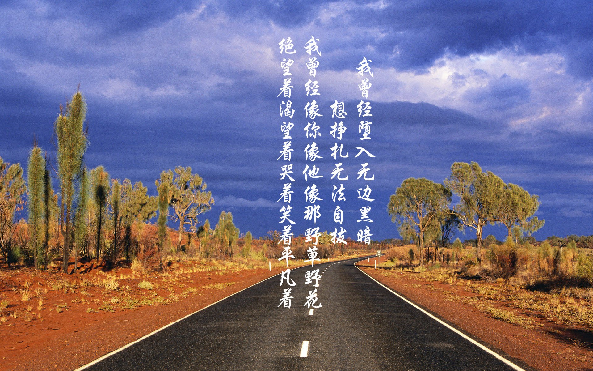 跨联盟神话,深圳猎豹吞噬费城,小贾伦50+封神之战