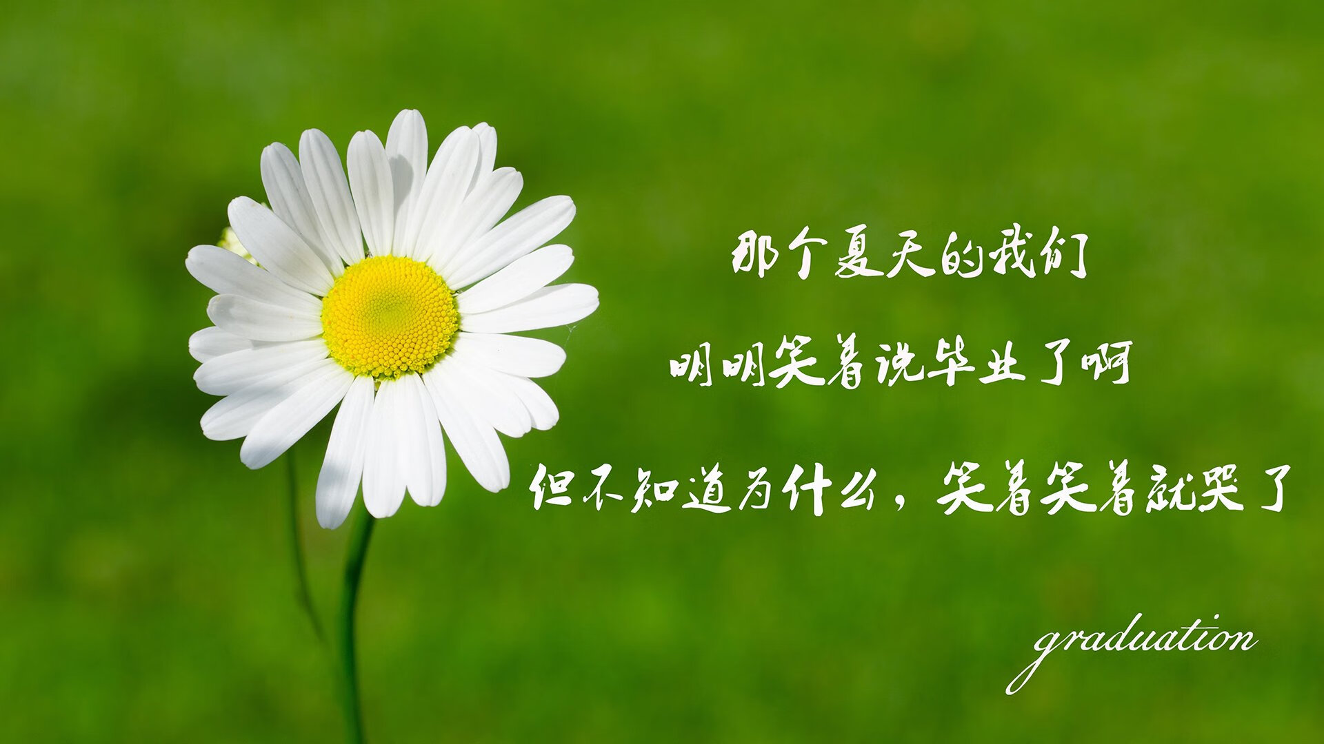绿洲之上的唯一，2026揭幕战，当三笘薰的樱花刃划破墨西哥的太阳石